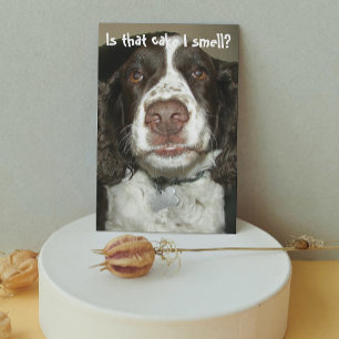 Cartão de Aniversário Engraçado do Cão English Spr