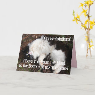 Cartão de aniversário engraçado do gato Tuxedo amo