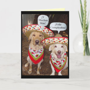 Cartão de aniversário engraçado do laboratório em 