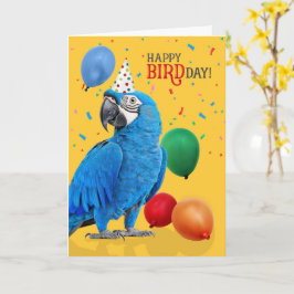 Cartão de aniversário engraçado do papagaio Arara-