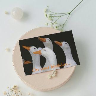 Cartão de Aniversário Engraçado dos Patos Brancos