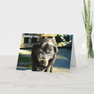 Cartão de Aniversário Engraçado e Velho