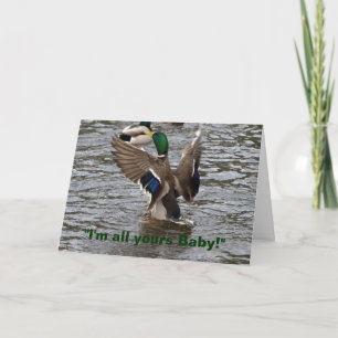 Cartão de Aniversário Engraçado Mallard Duck