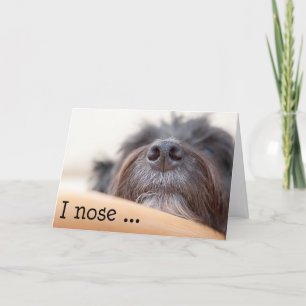 Cartão de Aniversário Engraçado - O Nariz Do Cão