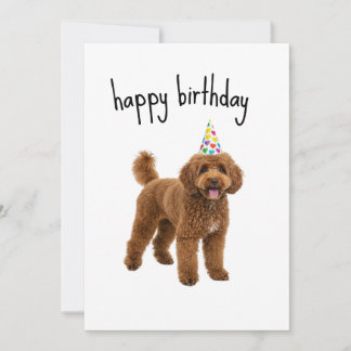 Cartão de Aniversário Engraçado para Cachorro – Pr