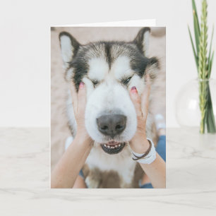 Cartão de Aniversário Engraçado para Cães Rouc