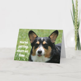 Cartão de aniversário engraçado Welsh Corgi