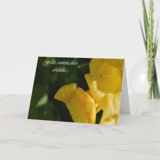 Cartão De Aniversário Espanhol Para A Filha De Deu