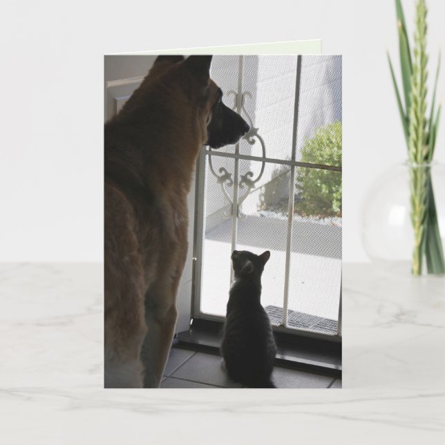 Cartão de Aniversário Especial (Frente)