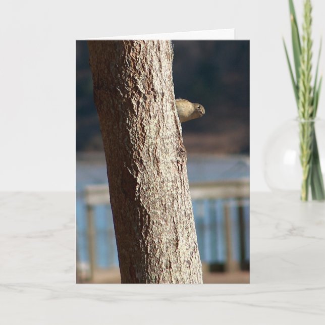 cartão de aniversário espek-a-boo (Frente)