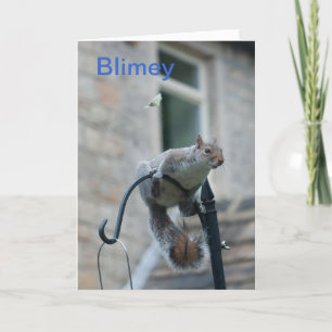 Cartão de Aniversário: Esquilo e Borboleta