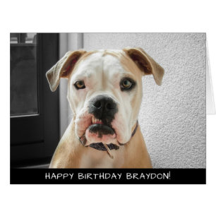 Cartão de Aniversário Extra Grande do Cão-Boxei