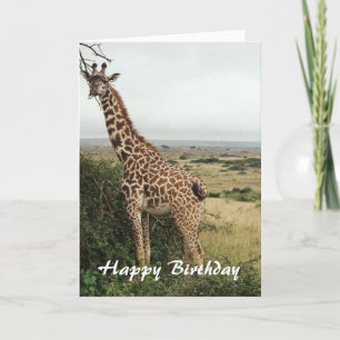 Cartão de aniversário feliz da girafa