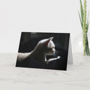 Cartão de Aniversário Feliz de Cat