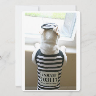 Cartão de Aniversário Feliz de Frenchie Jailbird