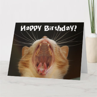 Cartão de Aniversário Feliz de Gato Engraçado