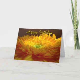 Cartão de Aniversário Feliz de Gerbera