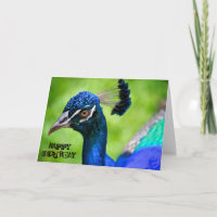 Cartão de Aniversário Feliz de Peacock