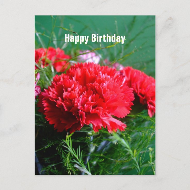 Cartão de Aniversário Feliz dos Cravos Vermelhos | Zazzle.com.br