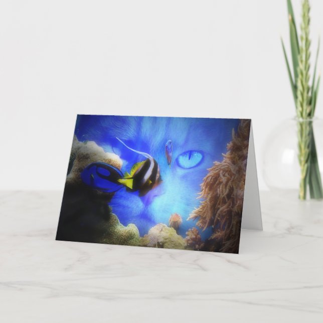 Cartão de Aniversário Feliz e Engraçado para Gatos (Frente)