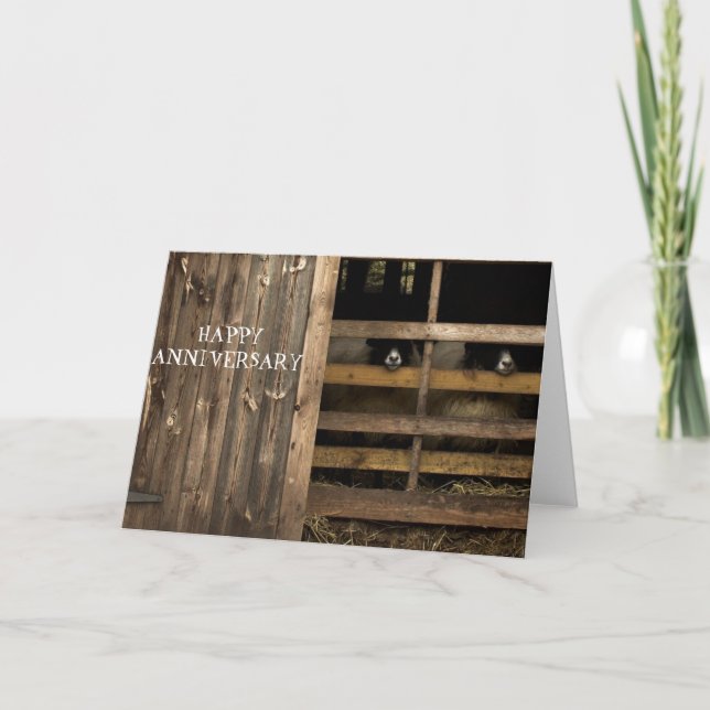 Cartão de Aniversário Feliz Ovino (Frente)