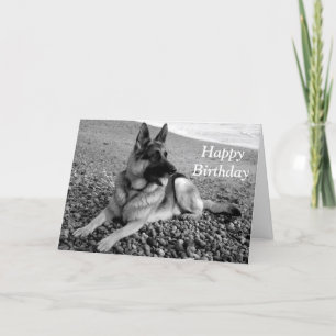 Cartão de Aniversário Feliz para Cães German sh