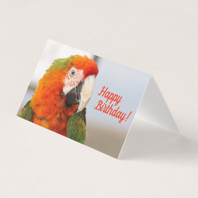 Cartão de Aniversário Feliz para Camelot Macaw (Frente)