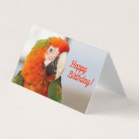 Cartão de Aniversário Feliz para Camelot Macaw