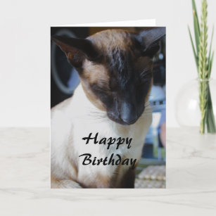 Cartão de Aniversário Feliz para Gatos Siameses