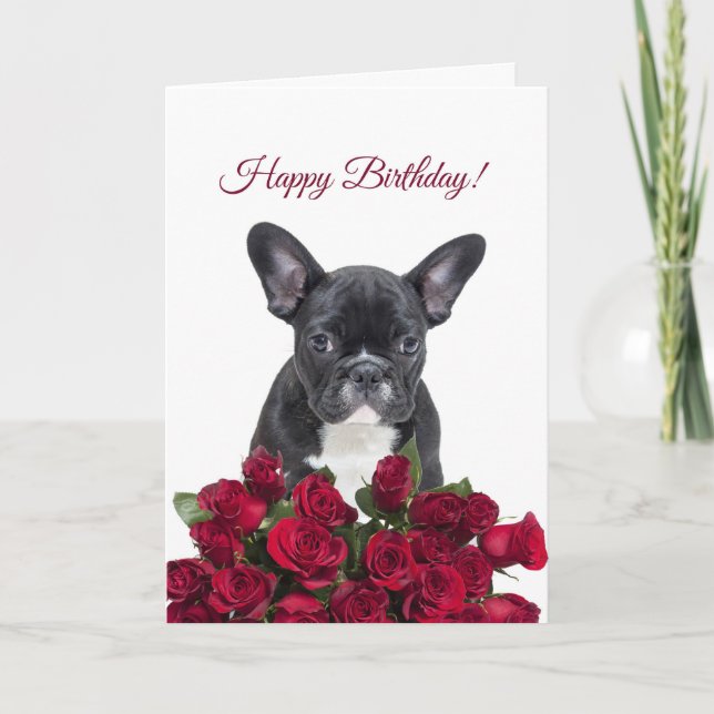 Cartão de Aniversário Feliz para o Bulldog Francês (Frente)