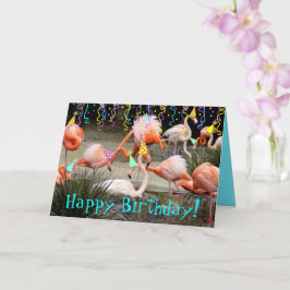 Cartão de Aniversário Feliz para os Pássaros do Fe