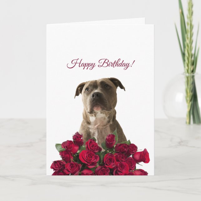 Cartão de Aniversário Feliz para Rosas de Cachorro (Frente)