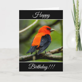 Cartão de Aniversário Feliz Personalizado Scarlet