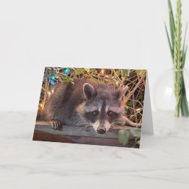 Cartão de Aniversário Feliz Raccoon para todos