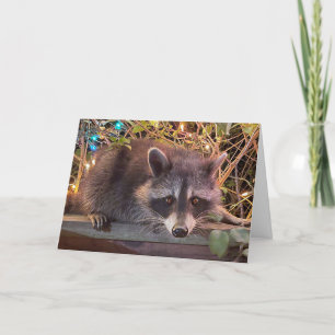 Cartão de Aniversário Feliz Raccoon para todos