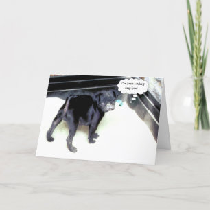 Cartão de Aniversário Feliz Sandy Pug