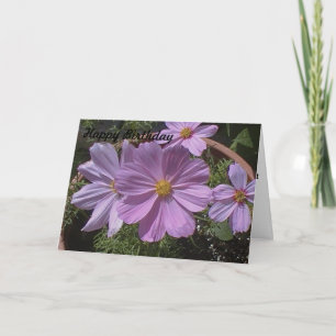 Cartão de Aniversário Flor de Cosmos Rosa