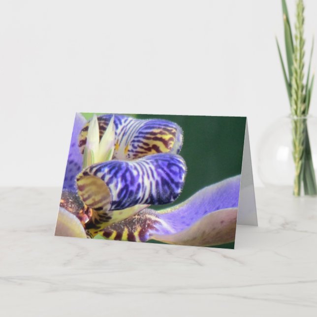 Cartão de Aniversário Floral Iris Azul (Frente)