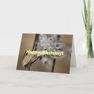Cartão de Aniversário Fluffkin