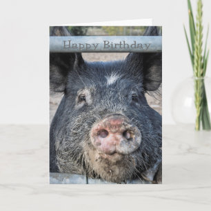 cartão de aniversário fofo Pig