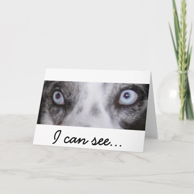 Cartão de Aniversário Fronteiriço-Aussie (Frente)