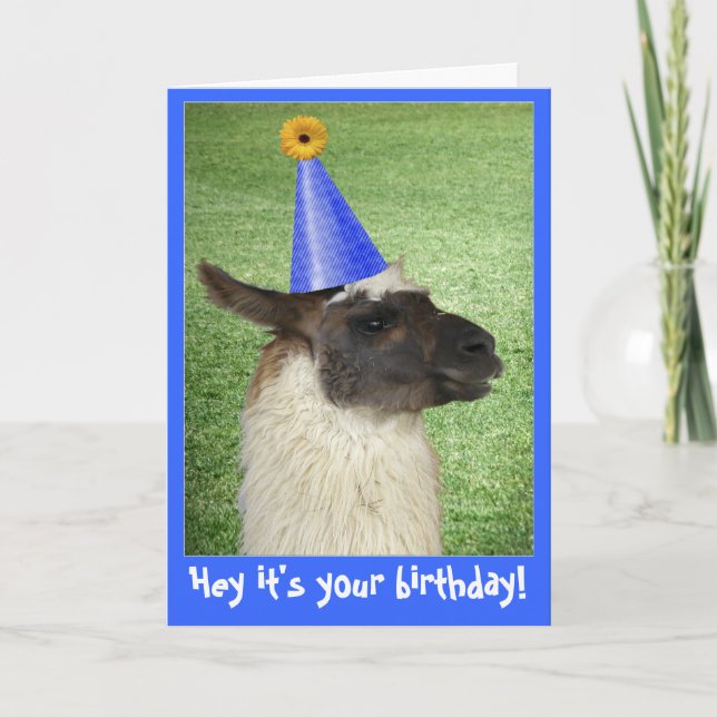 Cartão de aniversário Funny Llama ou convite (Frente)