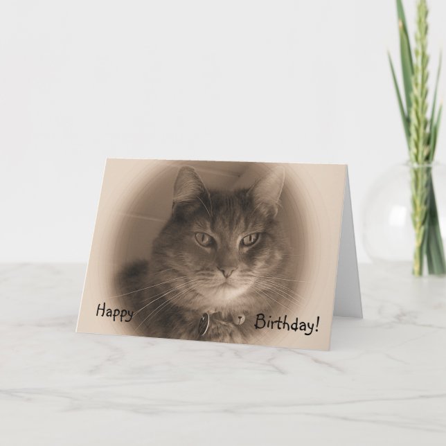 Cartão de aniversário - Gato na Sepia (Frente)