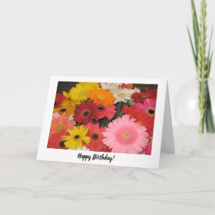 Cartão de Aniversário Gerbera