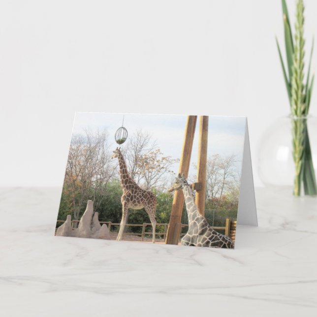 Cartão de Aniversário Girafas (Frente)