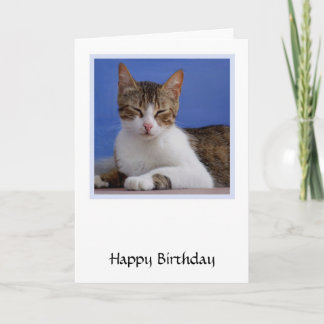 Cartão de Aniversário Grego para Gatos