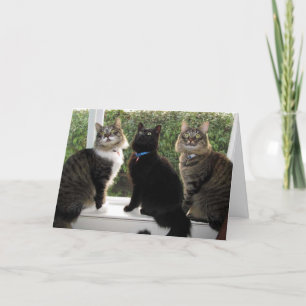 Cartão de Aniversário "Hora Do Bolo" Para Três Ami