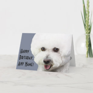 Cartão de aniversário ilustrado Frise de Bichon