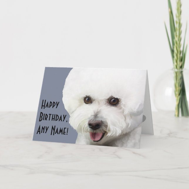 Cartão de aniversário ilustrado Frise de Bichon (Frente)