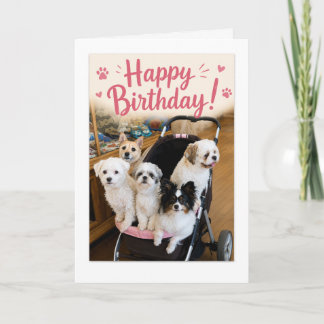 Cartão de aniversário incrível com cinco cachorros